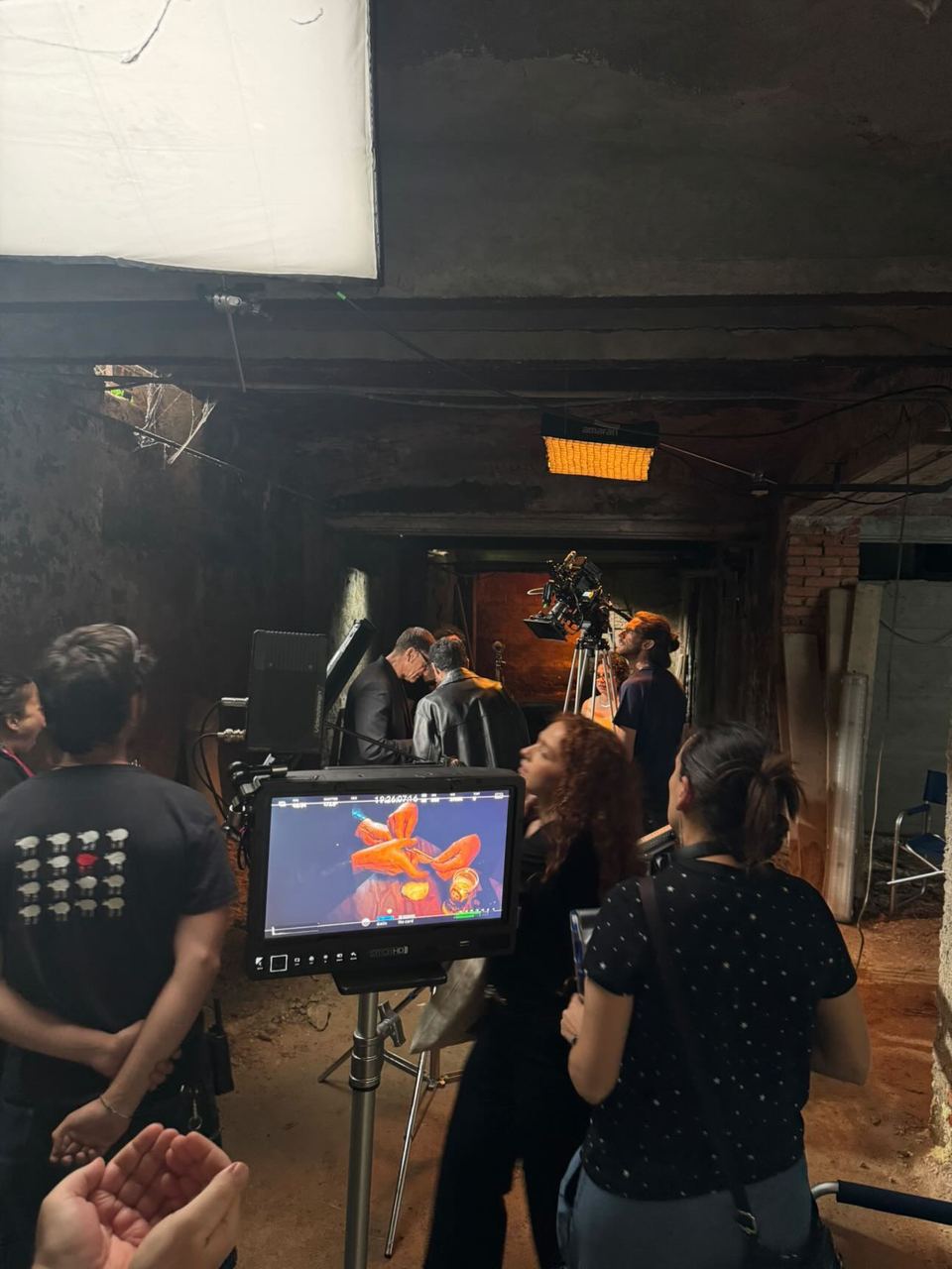 Monitor huddle villa
