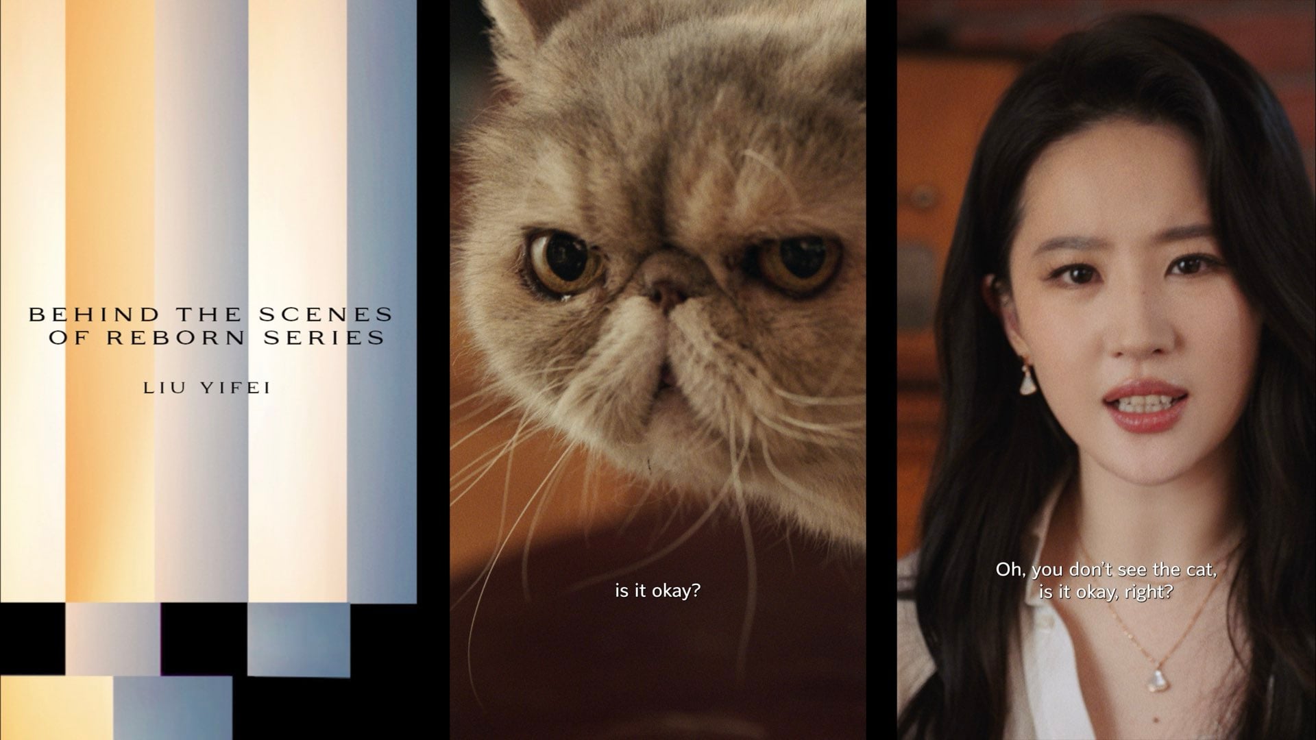 Liu Yifei Campaign Film  -  still