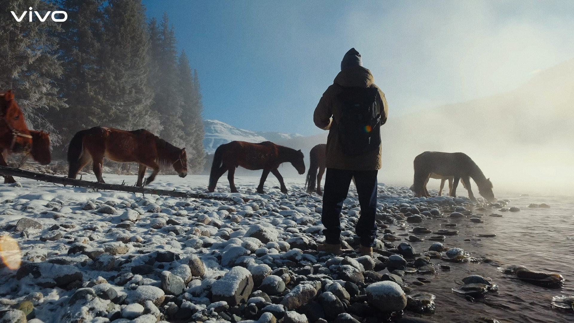 X300 Ultra  -  Master Cinematography  -  still