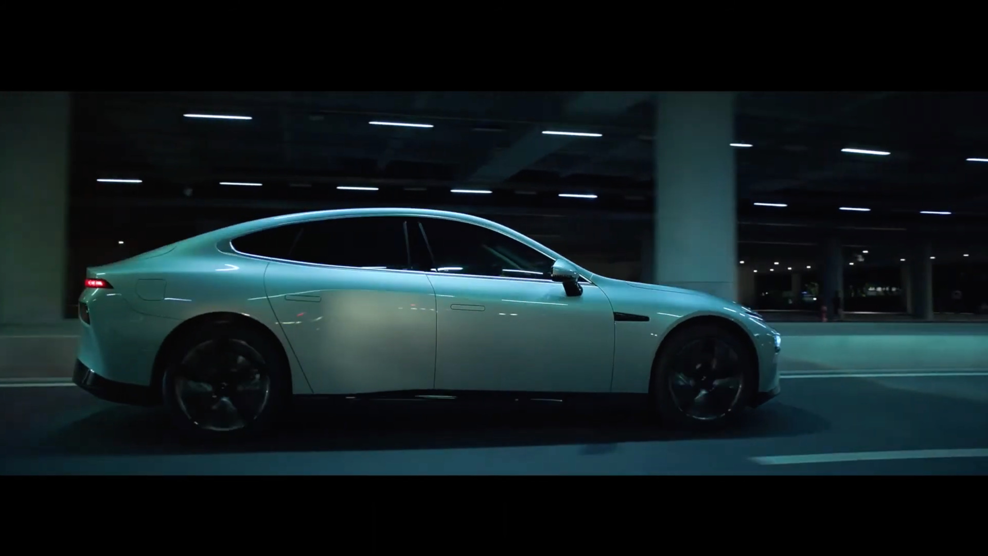 NGP  -  Documentary  -  still 3 of 14