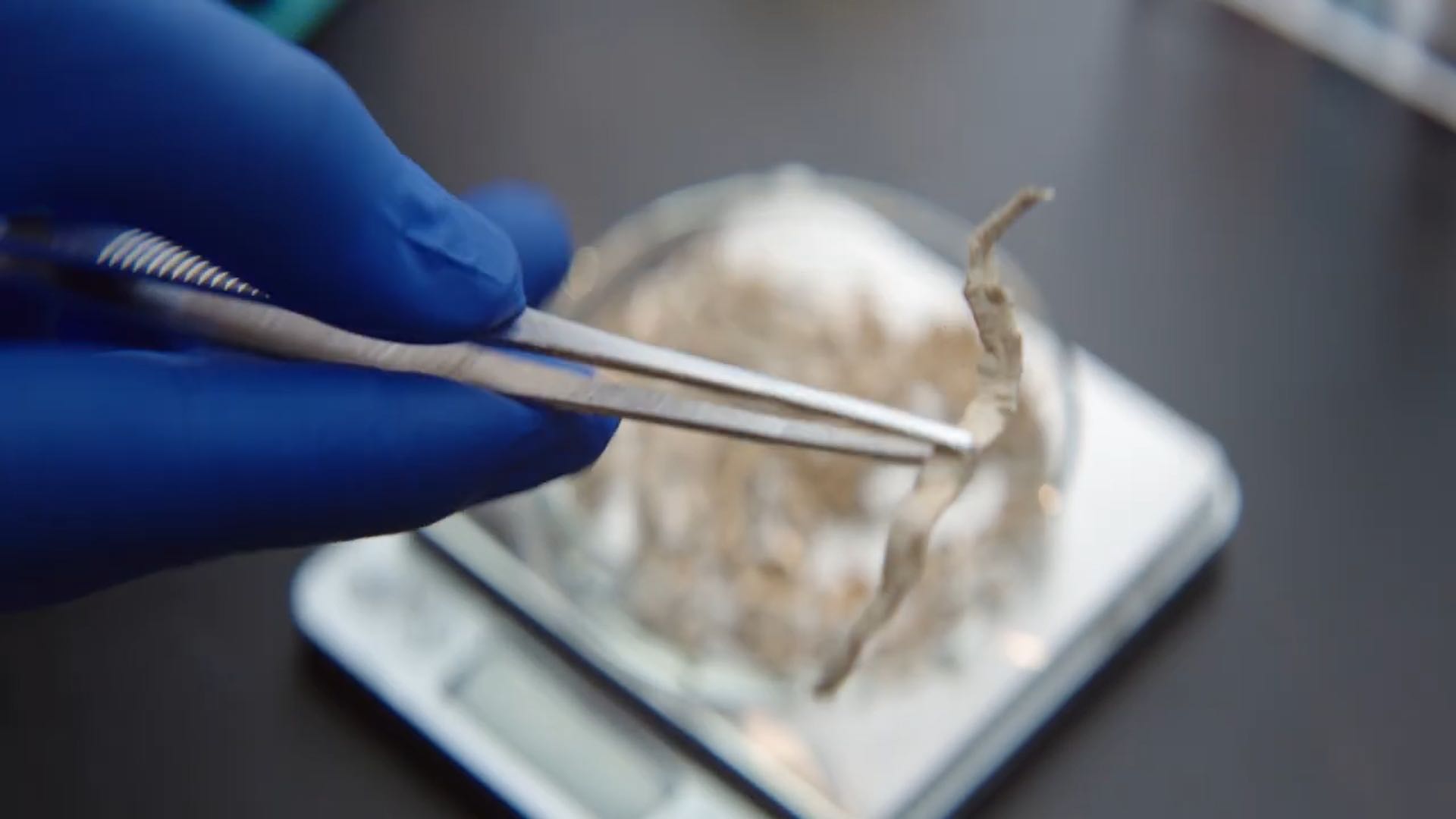 Sustainable Packaging Innovation  -  still